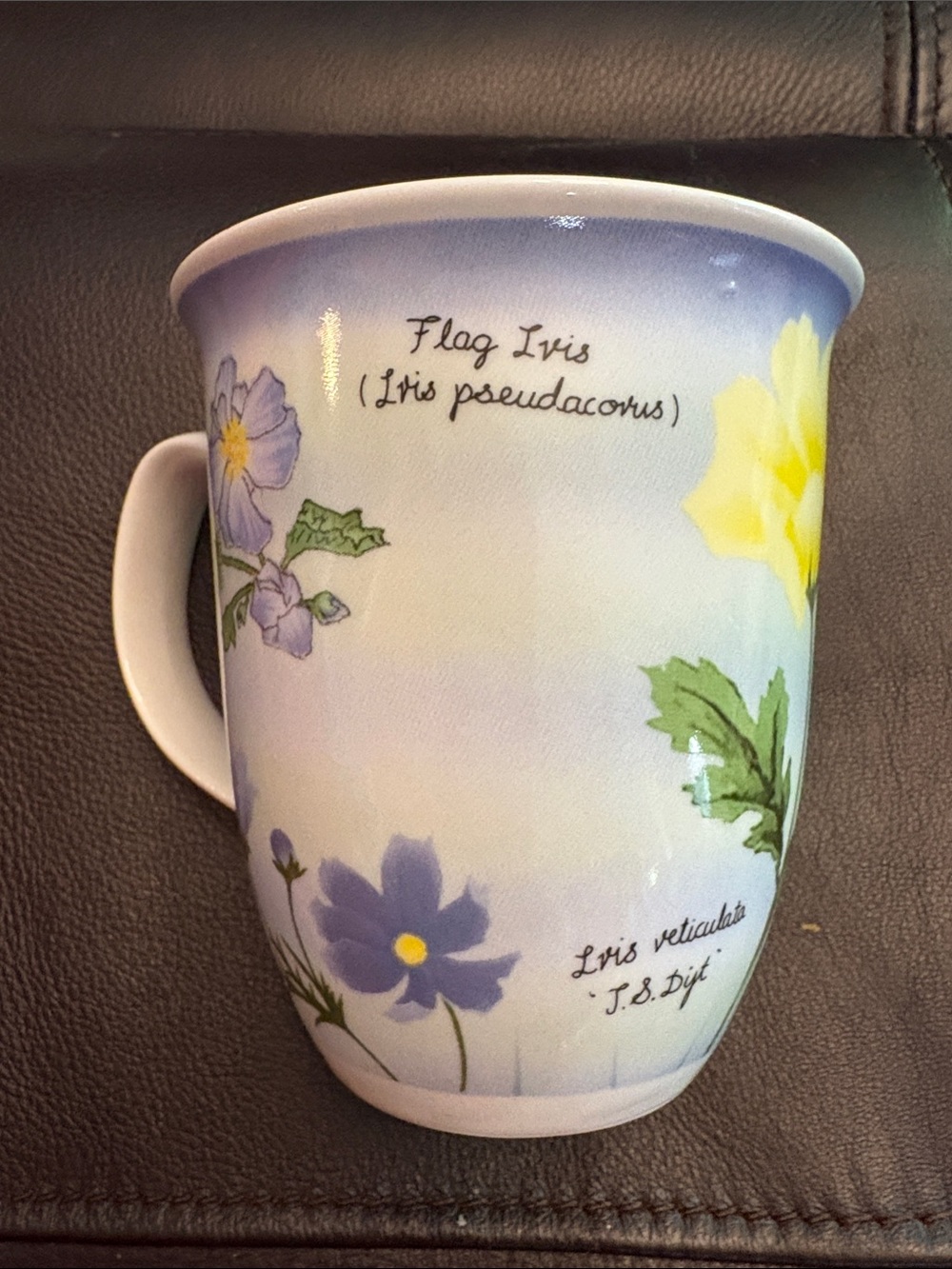 Dunoon Sullfolk Botanical Iris Porcelain Mug - Blue and Yellow Like New